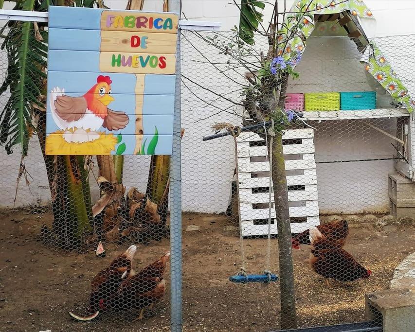 Chiclana El Principito Villa Chiclana de la Frontera Eksteriør billede