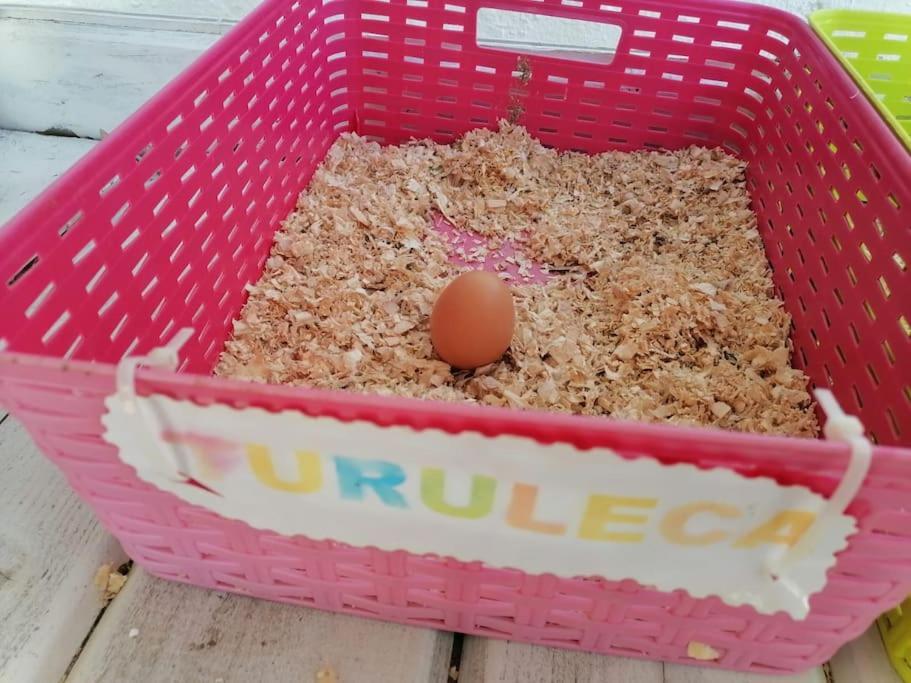 Chiclana El Principito Villa Chiclana de la Frontera Eksteriør billede